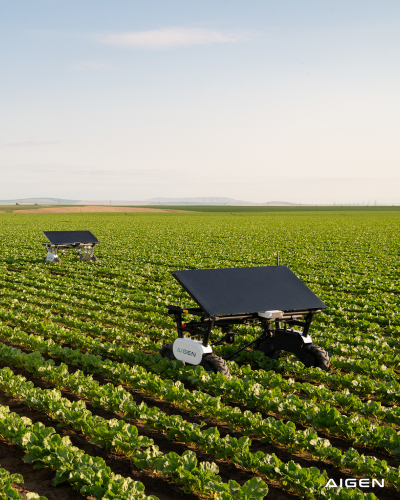 Aigen trains solar-powered farming robots for new crops in under ...