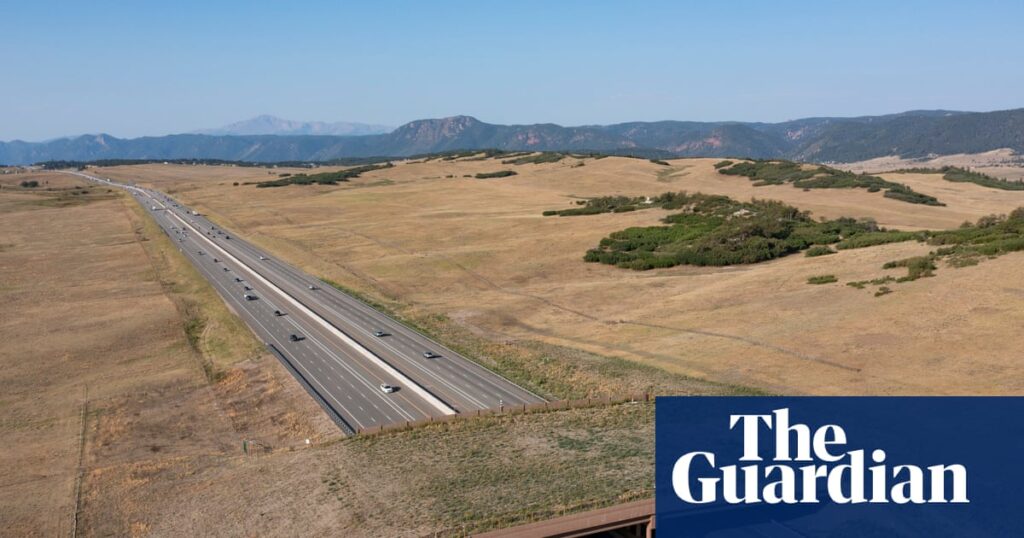 Colorado wildlife overpass cut vehicle-animal collisions by 91%, ...