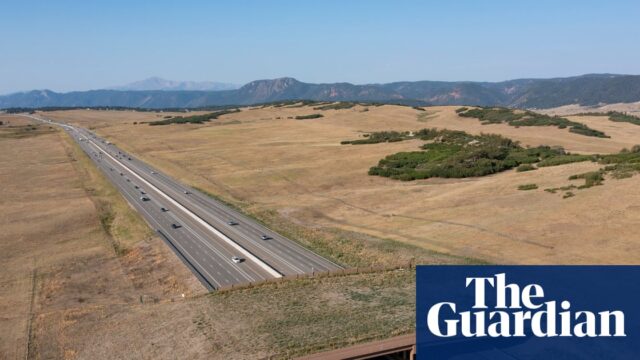 Colorado wildlife overpass cut vehicle-animal collisions by 91%, ...